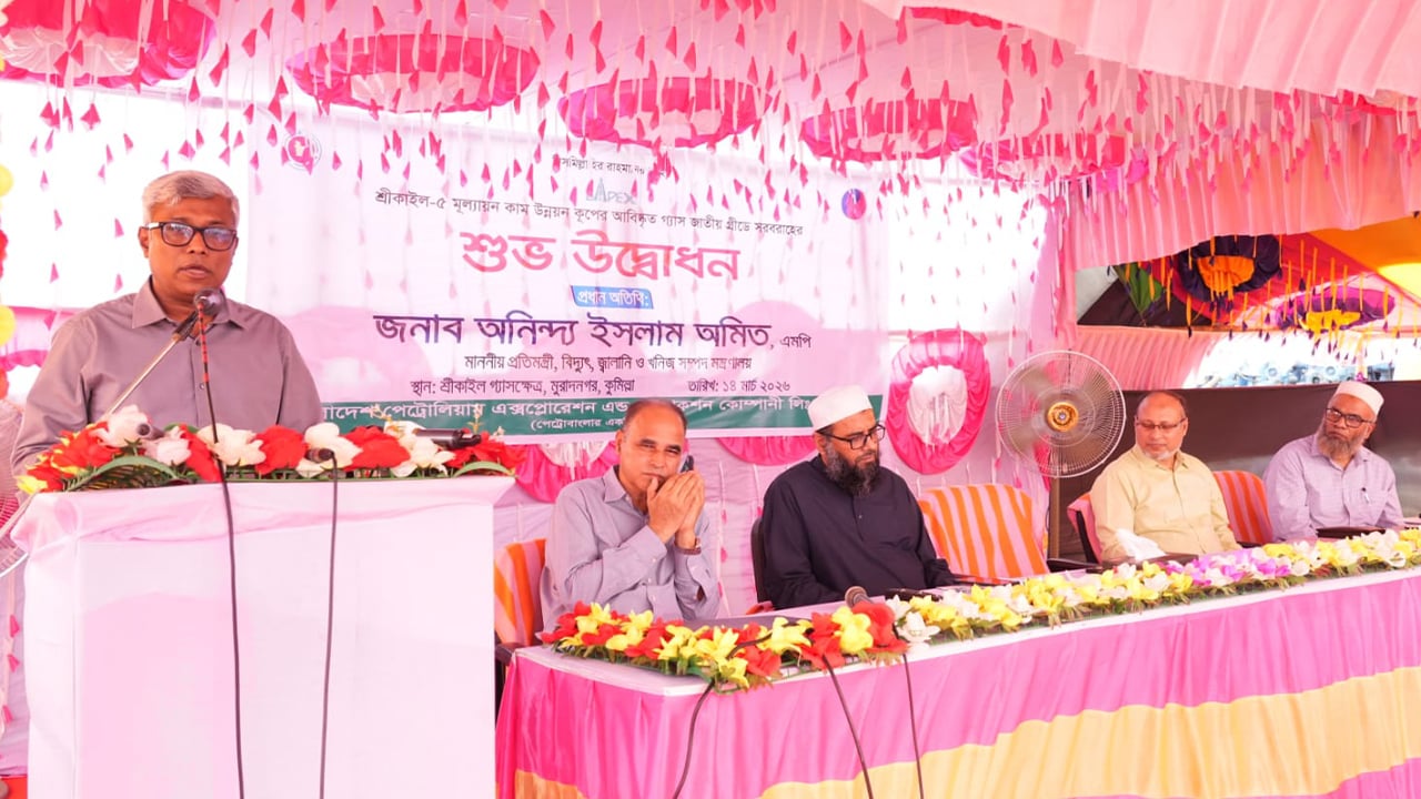 ফ্যাসিস্ট সরকার জ্বালানি খাতকে আমদানি নির্ভর করে গেছে: প্রতিমন্ত্রী