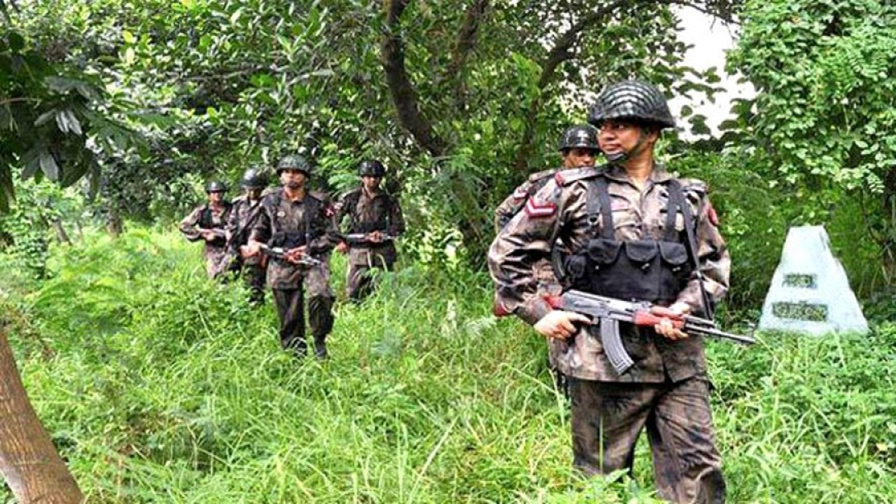 বাঘাডাংগা সীমান্তে ৭৩২ পিস ভায়াগ্রা জব্দ, আটক ১৪