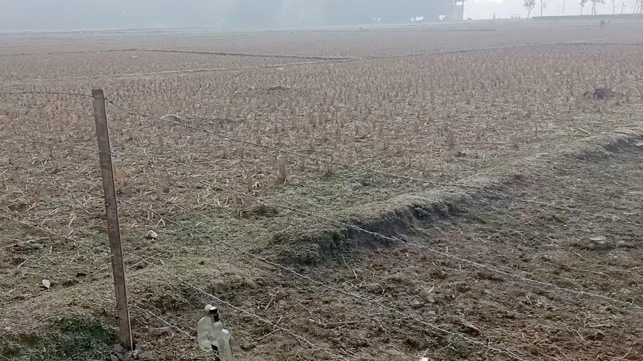 দহগ্রাম সীমান্তে আবারও বিএসএফের কাঁটাতারের বেড়া