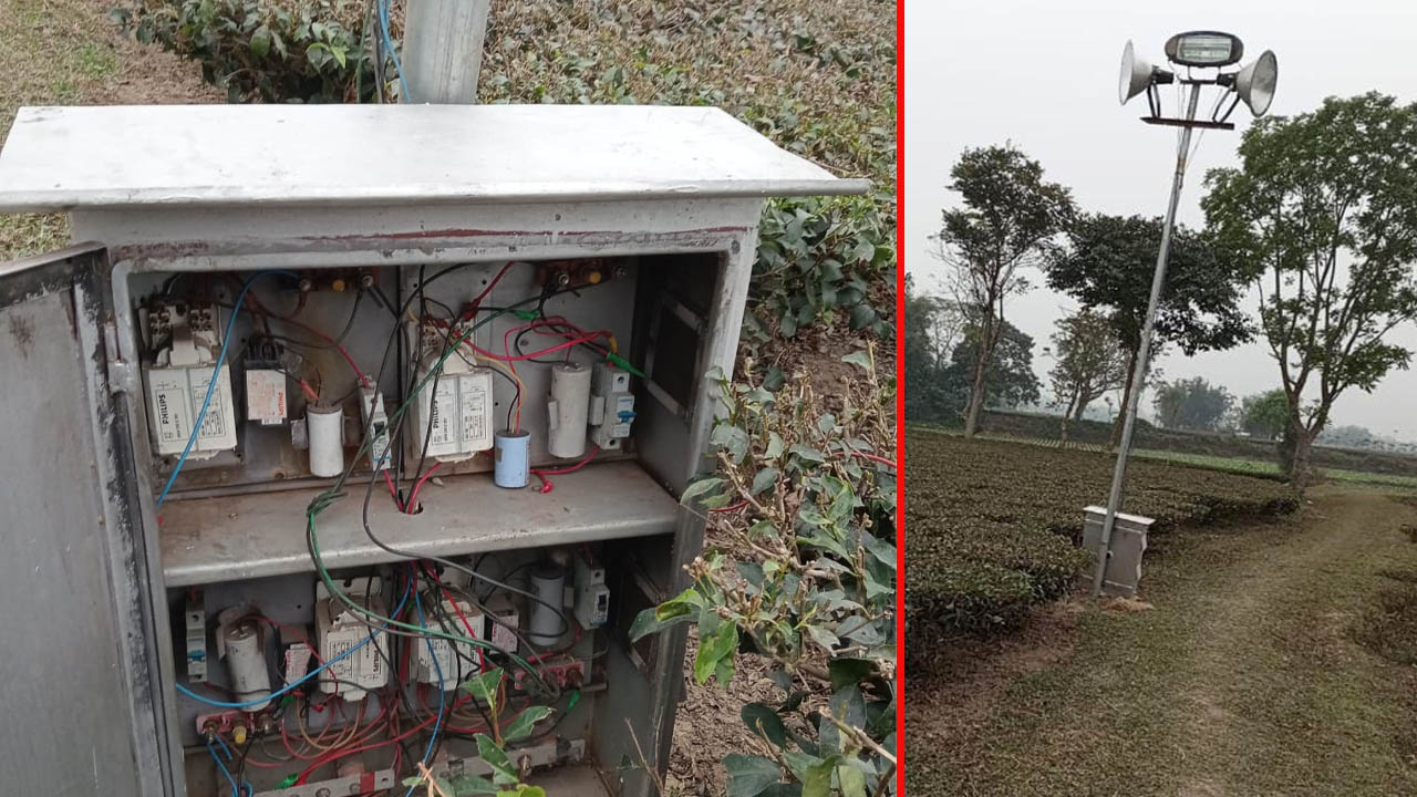 বিজিবির প্রতিরোধে পিছু হটল বিএসএফ