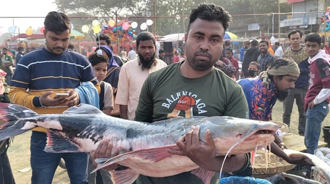 দুই বাঘাইড়ের দাম হাঁকা হয়েছে ৩ লাখ টাকা