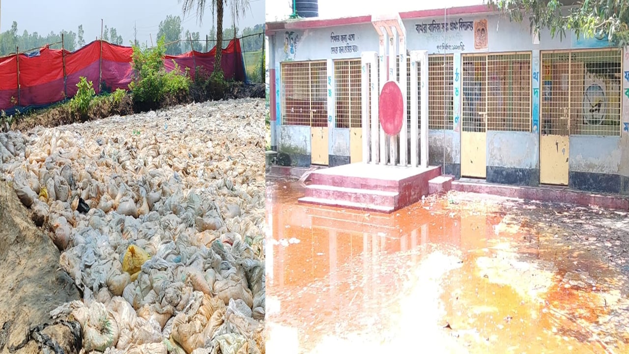 বিদ্যালয়ের পাশে তেলের ডাম্পিং পয়েন্ট, স্বাস্থ্য ঝুঁকিতে শিক্ষার্থীরা
