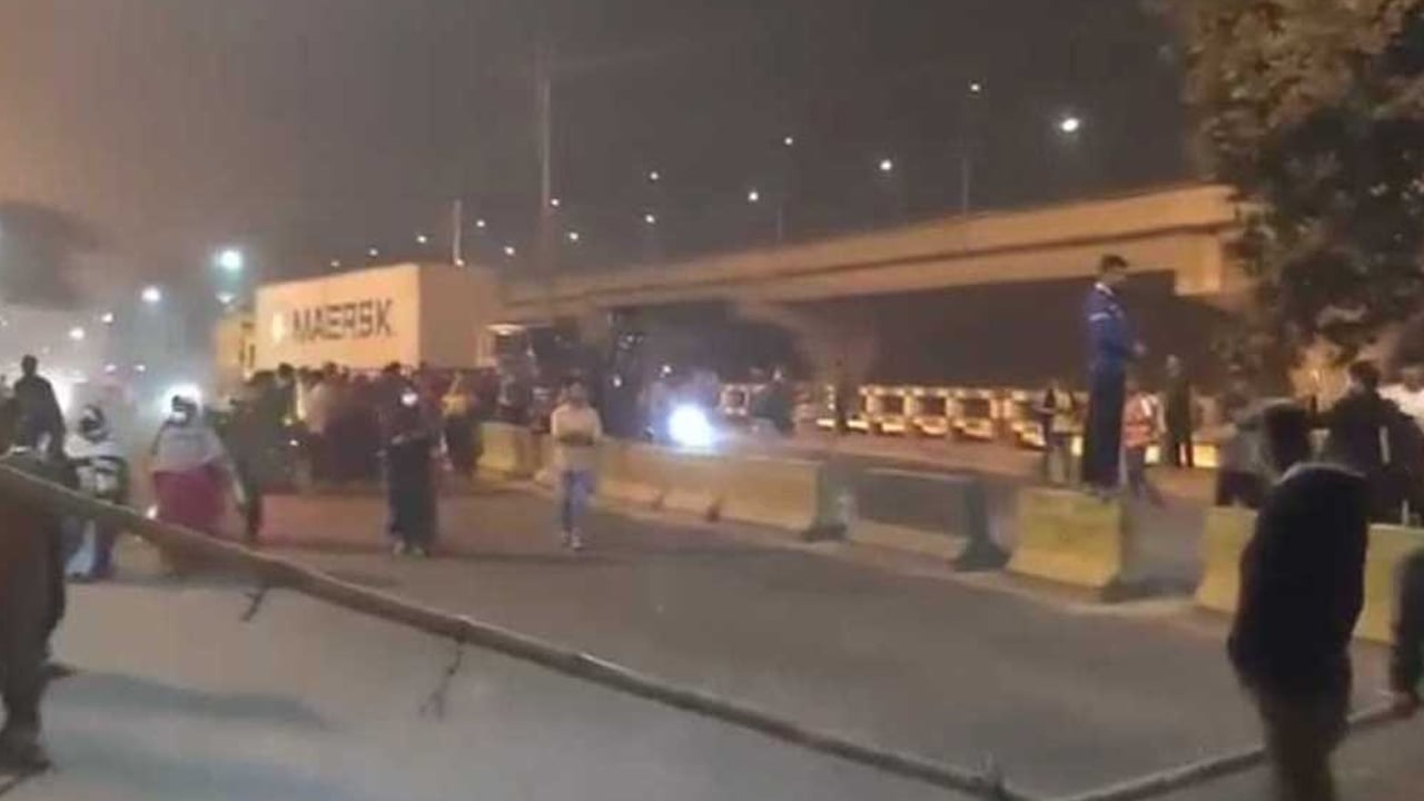 উল্লাস করে ডিসি পার্কে ভাঙচুর, রক্ষা পায়নি ফুলও