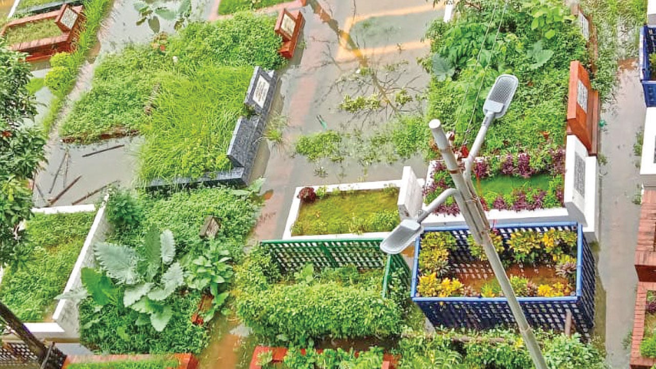 ভারি বর্ষণে পানির নিচে শহীদ বুদ্ধিজীবী করবস্থান