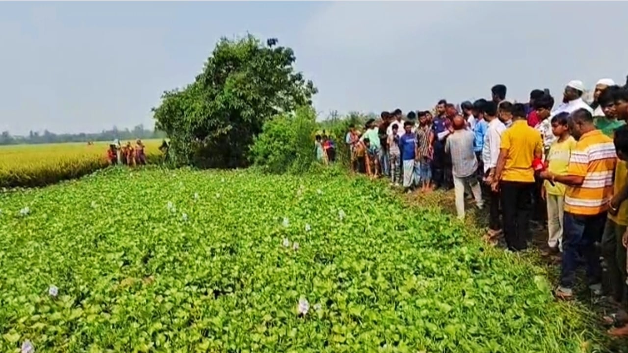 নিজের সন্তানকে ডোবায় ফেলে হত্যা করলো মাদকাসক্ত বাবা