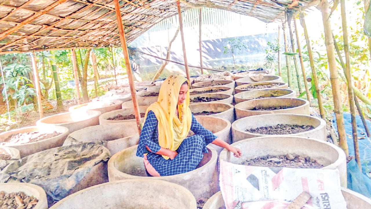 ভার্মি কম্পোস্ট সার নিয়ে সুমির স্বপ্ন…