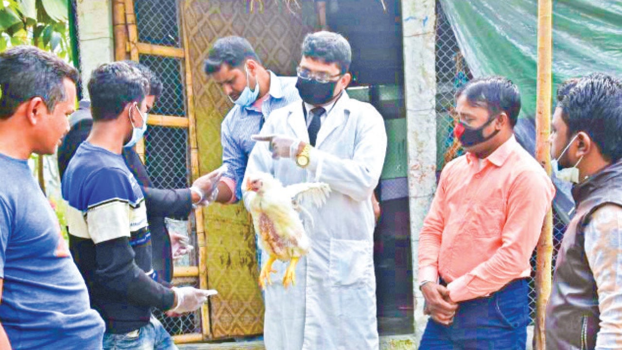 মুরগির মাংসের রেজিস্ট্যান্ট ব্যাকটেরিয়ায় স্বাস্থ্যঝুঁকি