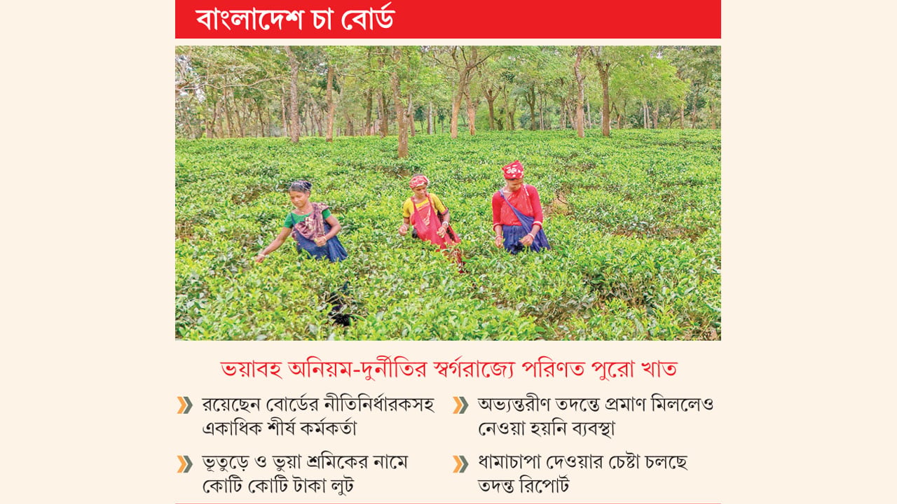 আওয়ামী আমলে ২৩ কর্মকর্তার নিয়োগ-পদোন্নতিতে জালিয়াতি