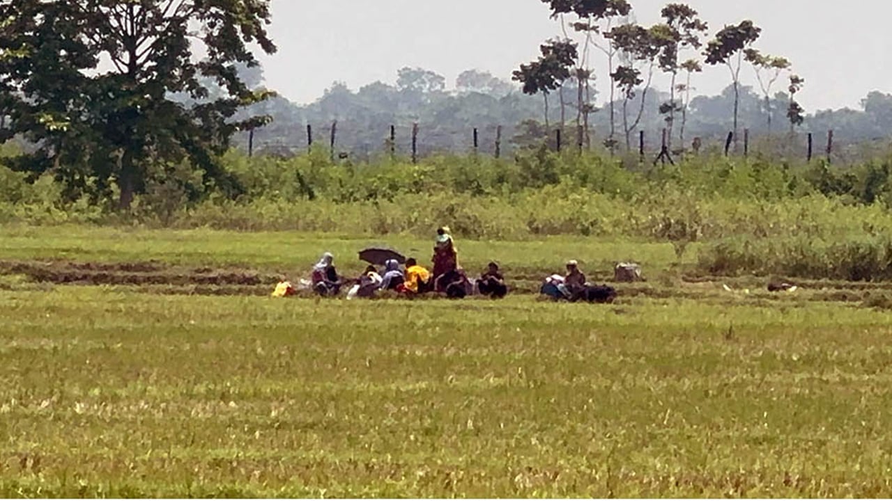 বেনাপোল সীমান্তে বিএসএফের পুশইন চেষ্টা প্রতিহত