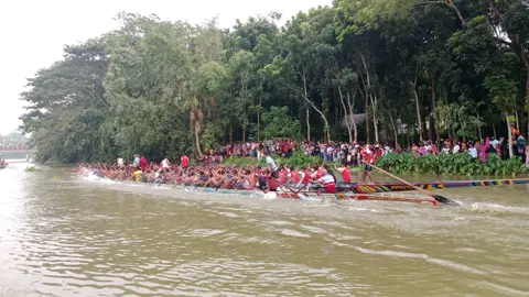বোয়ালমারীতে কুমার নদে নৌকাবাইচ অনুষ্ঠিত