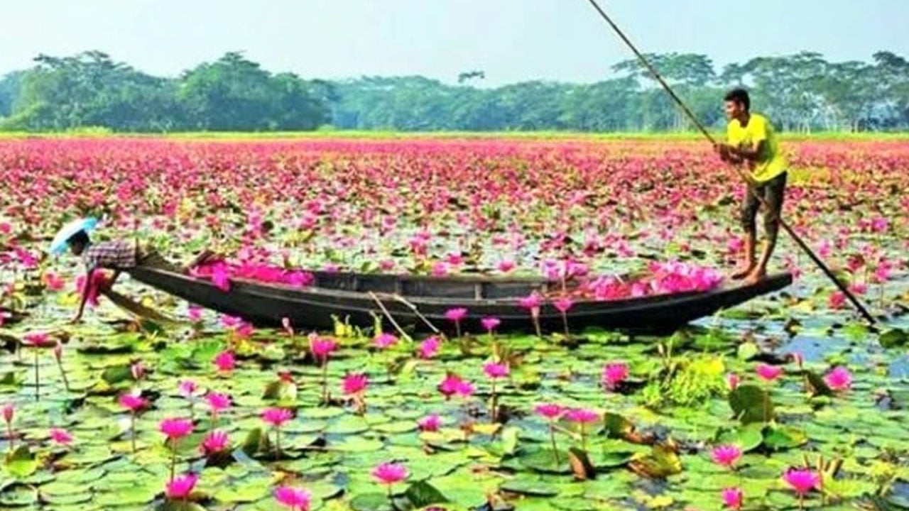 borobila_amardesh