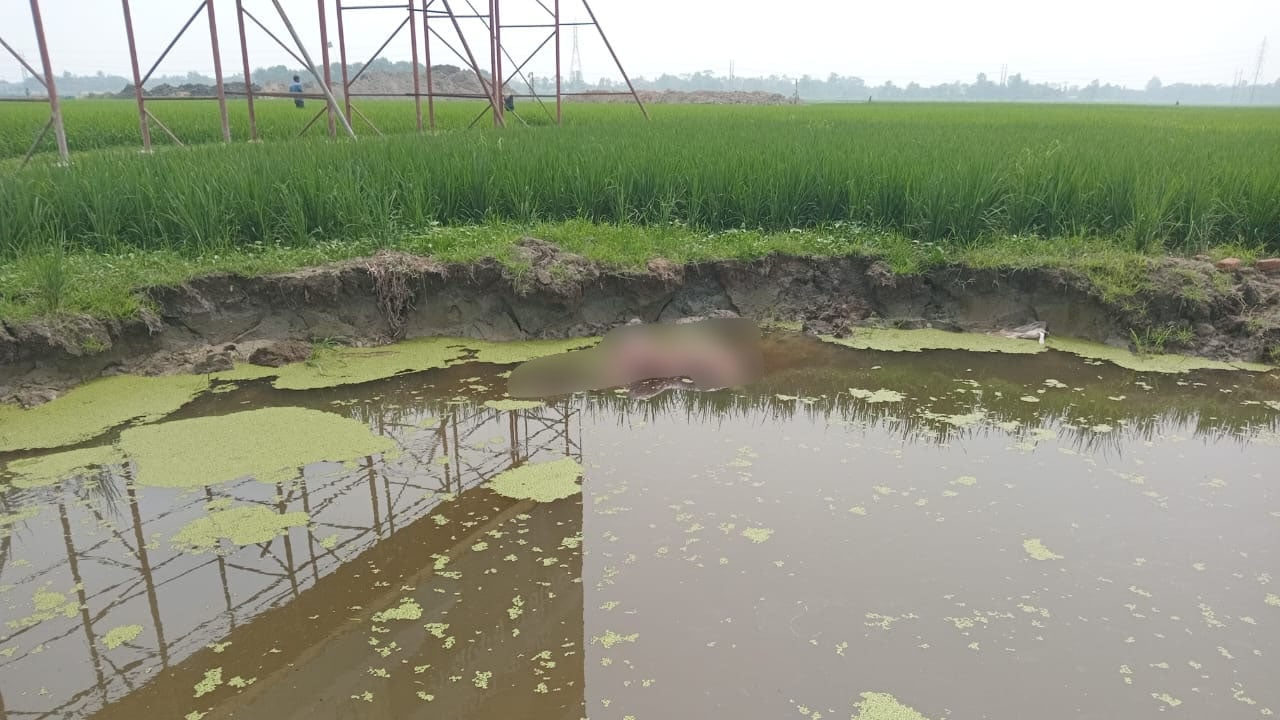 ব্রাহ্মণবাড়িয়ায় ডোবা থেকে অজ্ঞাত লাশ উদ্ধার