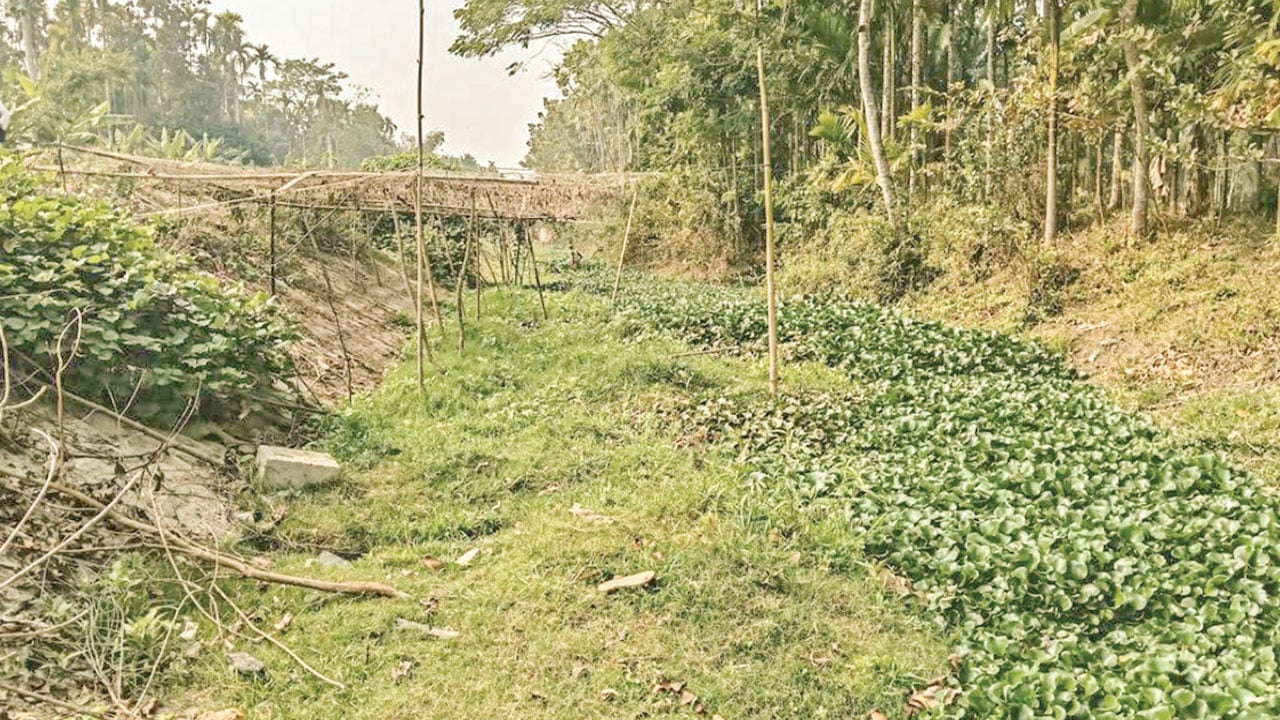 বোরহানউদ্দিনে ভরাট খাল নিয়ে বিপাকে ৬০০ কৃষক