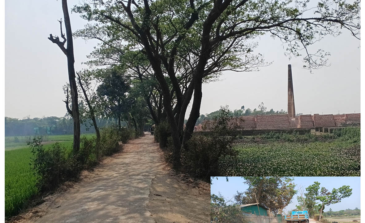 আনোয়ারায় ইটভাটা গিলে খাচ্ছে ফসলি জমি, দূষিত হচ্ছে পরিবেশ