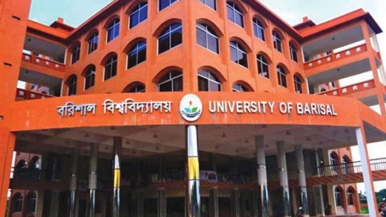 অস্থিরতা তৈরির নেতৃত্বে আওয়ামীপন্থি শিক্ষকেরা