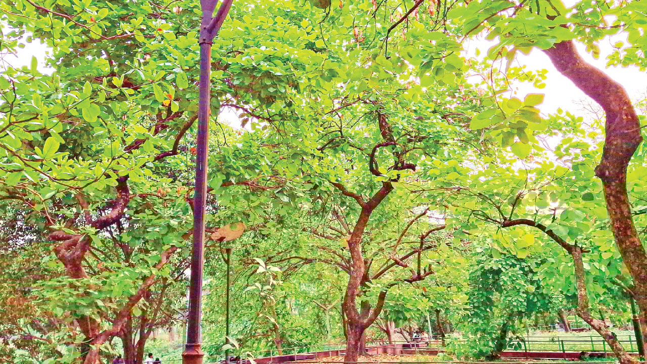 ঋতুরাজ বসন্তে পরকালের ‍বার্তা