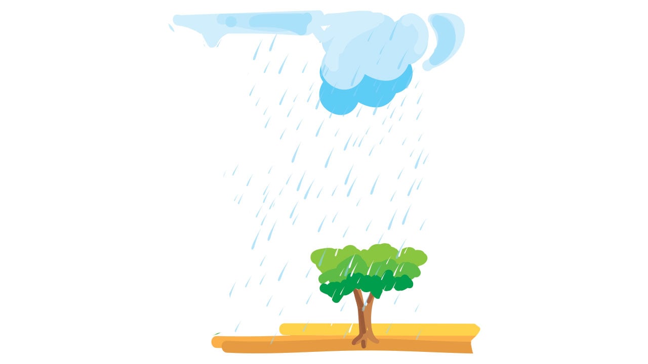 বৃষ্টি