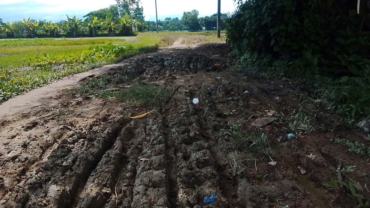 স্বাধীনতার ৫৫ বছরেও পাকা হয়নি ওসমানীনগরের ৩ গ্রামের সড়ক