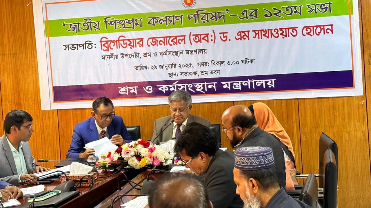 শিশু শ্রম নিরসনে সরকার বদ্ধপরিকর: ড. এম সাখাওয়াত