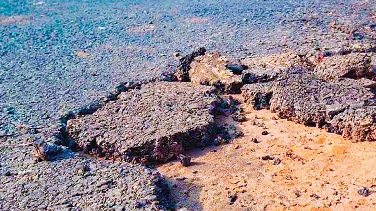 চাঁদপুরে নিম্নমানের উপকরণে রাস্তা সংস্কার, উঠে যাচ্ছে কার্পেটিং