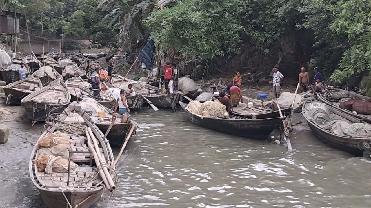 মধ্যরাত থেকে পদ্মা-মেঘনায় ইলিশ ধরা শুরু