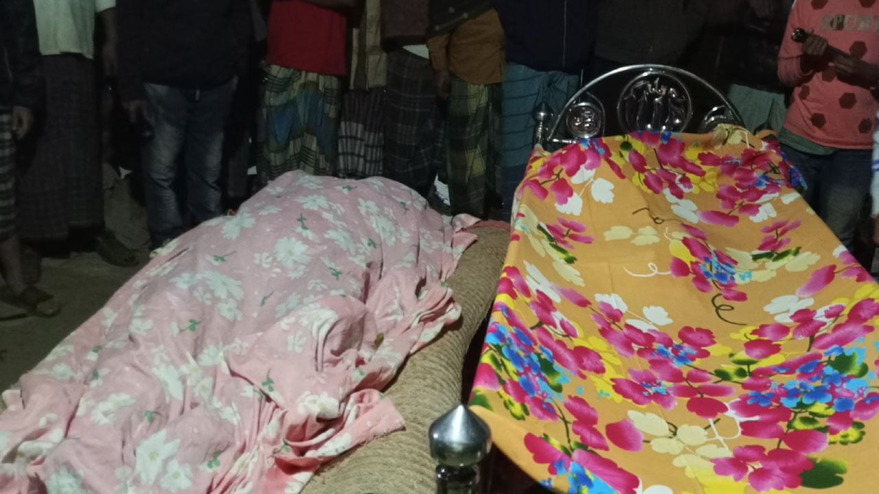 মতলব দক্ষিণে বিদ্যুৎপৃষ্টে মা-ছেলের মৃত্যু