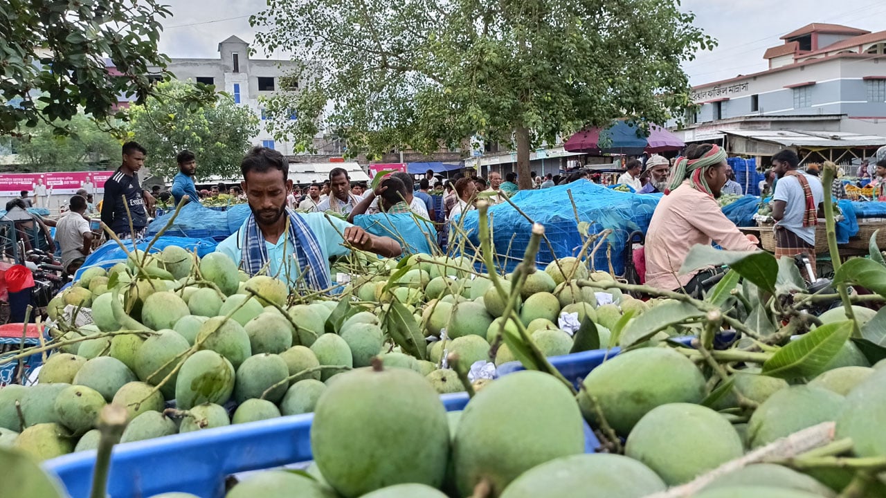 সিন্ডিকেটের হাতে জিম্মি আমচাষি ও ব্যবসায়ী