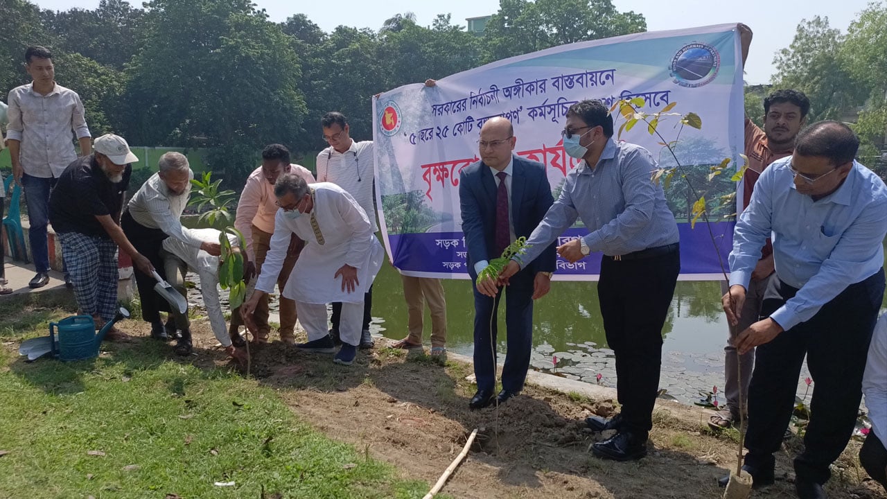 চাঁপাইনবাবগঞ্জে সড়ক বিভাগের বৃক্ষরোপণ কর্মসূচি শুরু