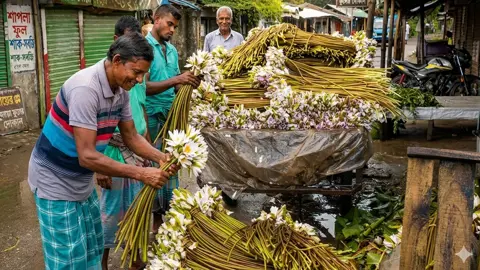 ইলিশের দাম কমলে কদর বাড়ে শাপলার