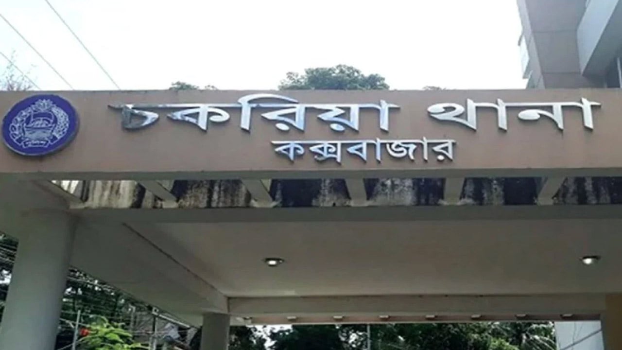 গাছ কাটা নিয়ে ছোট ভাইয়ের বিরুদ্ধে বড় ভাইকে হত্যার অভিযোগ
