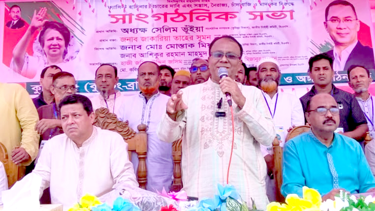 ‘কিংস পার্টি’ সরকারেরই অংশ: অধ্যক্ষ সেলিম