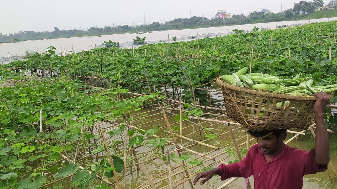 ভারতের পাহাড়ি ঢলে ক্ষতির মুখে সহস্রাধিক কৃষকের ফসল