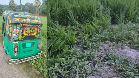 মেয়েটি নিজের জীবন বাঁচাতে আপ্রাণ চেষ্টা করেও পেরে ওঠেনি