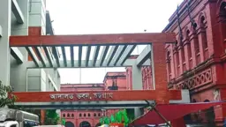 চট্টগ্রামে মাকে হত্যা মামলায় ছেলের যাবজ্জীবন কারাদণ্ড