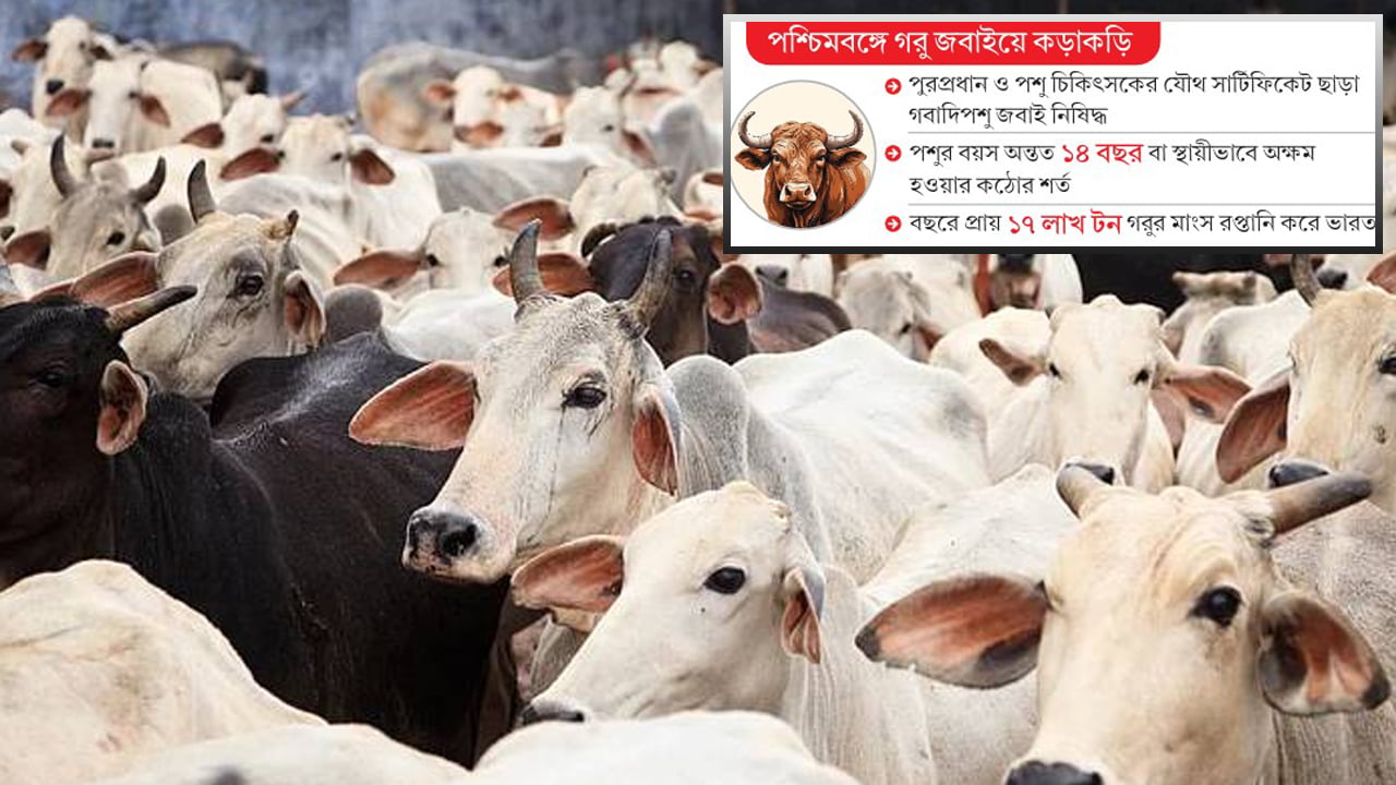 ক্রেতাশূন্য বাজারে হিন্দু খামারিদের হাহাকার আত্মহত্যার হুমকি