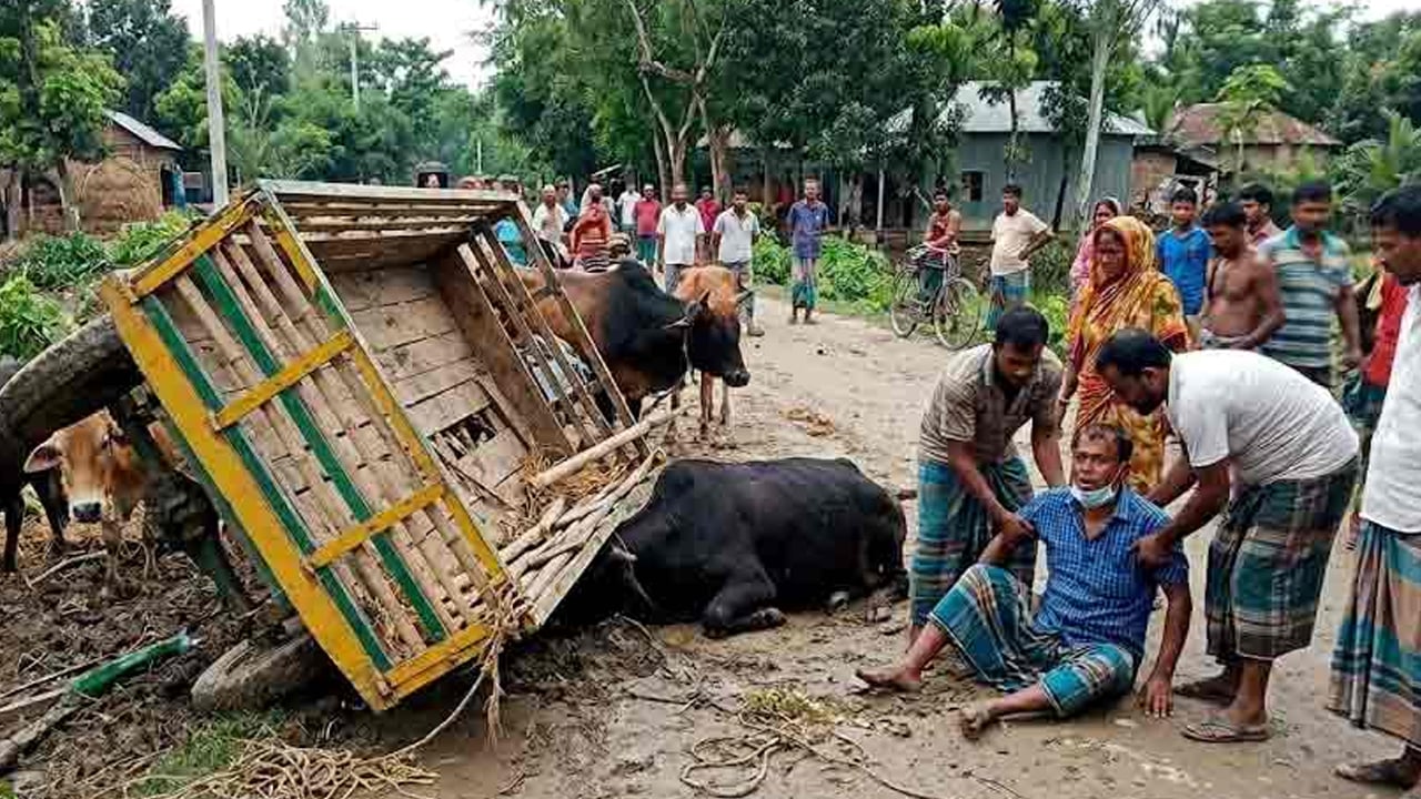 তাড়াশে গরু বোঝাই গাড়ি উল্টে চালকের মৃত্যু