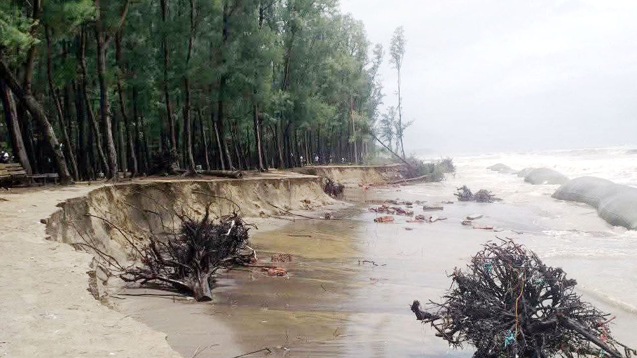 সৈকতে ভেঙে পড়ছে বালিয়াড়ি, উপড়ে যাচ্ছে ঝাউগাছ