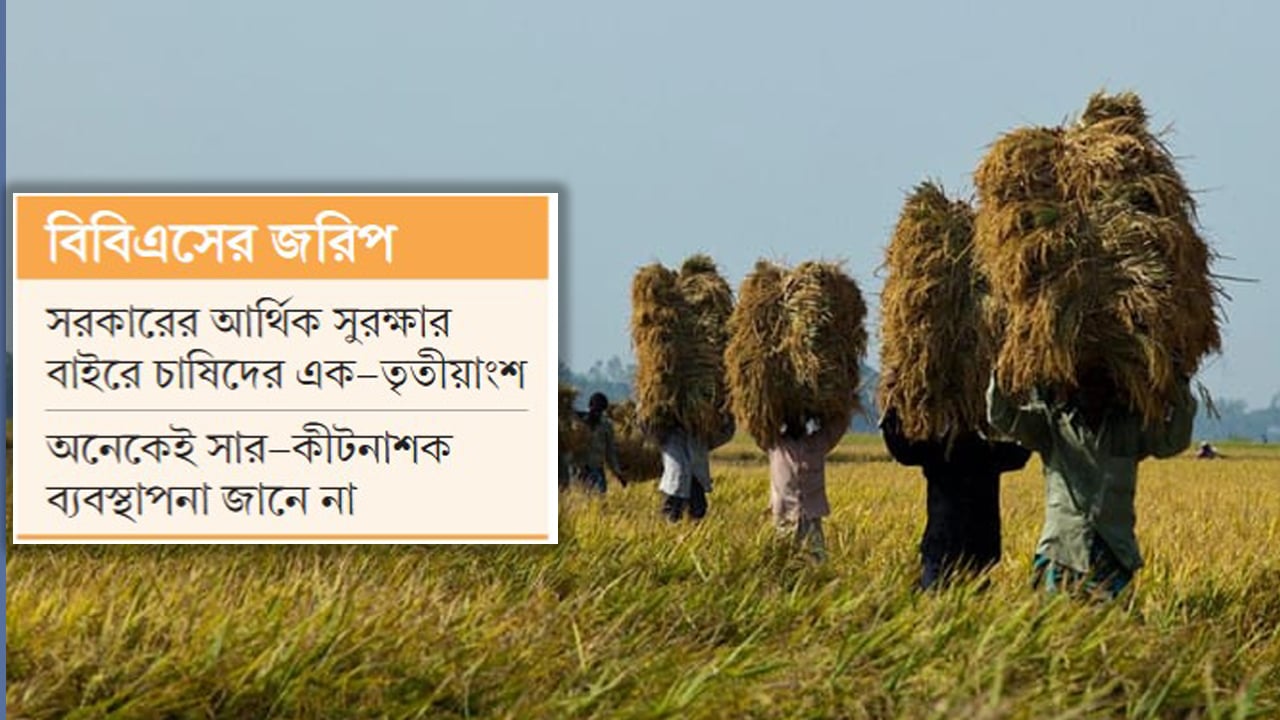 উৎপাদন খরচ ওঠে না ৫৬ শতাংশ কৃষকের