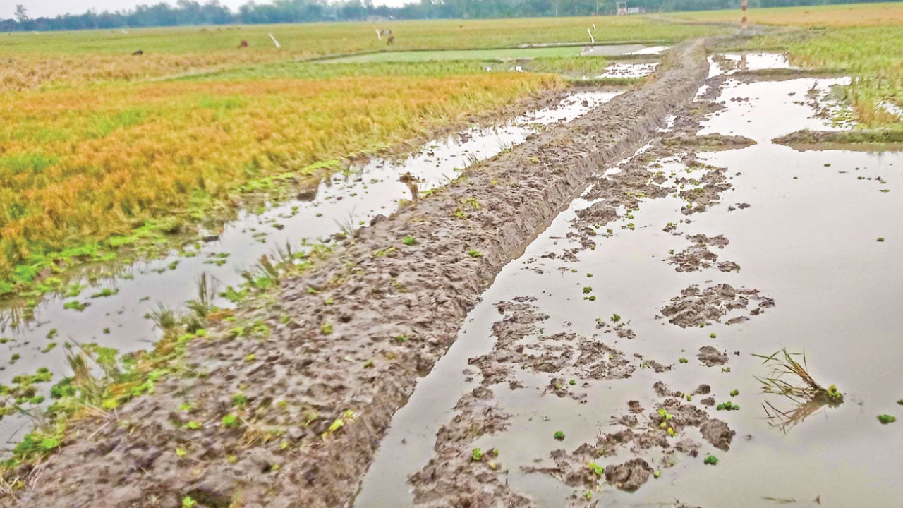 চিরিরবন্দরে ব্যক্তিগত উদ্যোগে রাস্তা নির্মাণ