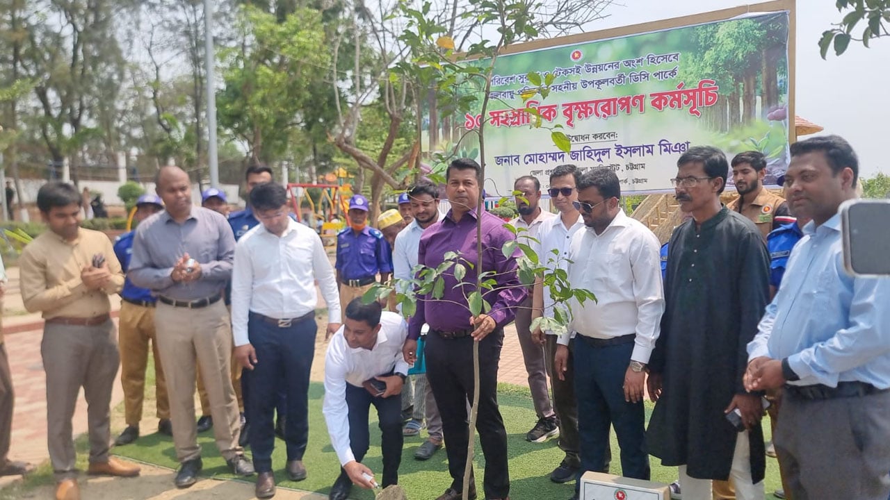 জলবায়ুর বিরুপ প্রভাব মোকাবিলায় গাছ রোপণের বিকল্প নেই: জেলা প্রশাসক