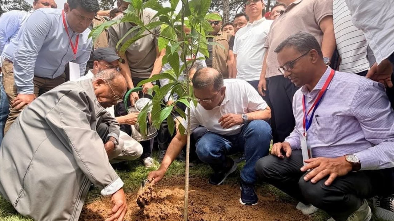 ডুলাহাজারা সাফারি পার্কে নাগলিঙ্গম গাছের চারা রোপণ করলেন প্রধানমন্ত্রী