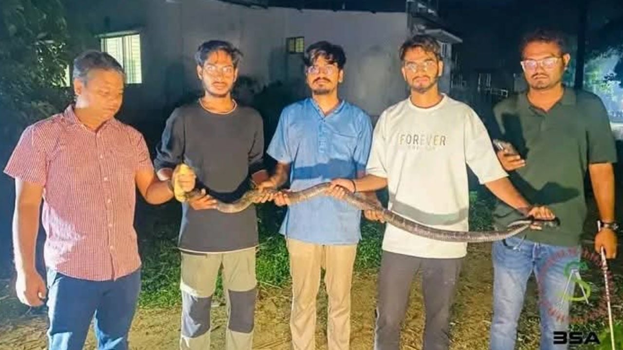 চট্টগ্রাম বিশ্ববিদ্যালয়ে আবারও ভয়ংকর ‘কিং কোবরা’  উদ্ধার