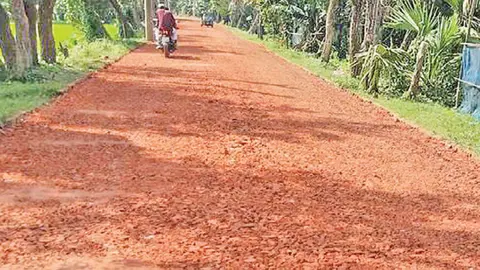 বরুড়ার বিজরা-রহিমানগর সড়কের নির্মাণকাজে অনিয়ম 