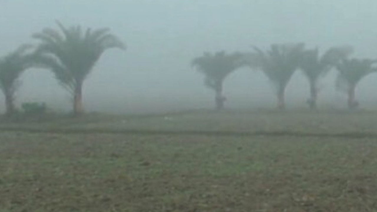 ঘন কুয়াশা ও হিমেল বাতাসে চুয়াডাঙ্গায় বাড়ছে শীতের তীব্রতা