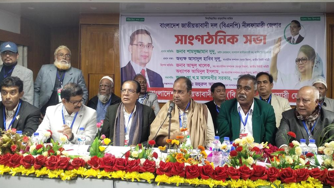 জামায়াত বিএনপি কোনো সংঘাত নেই: দুদু