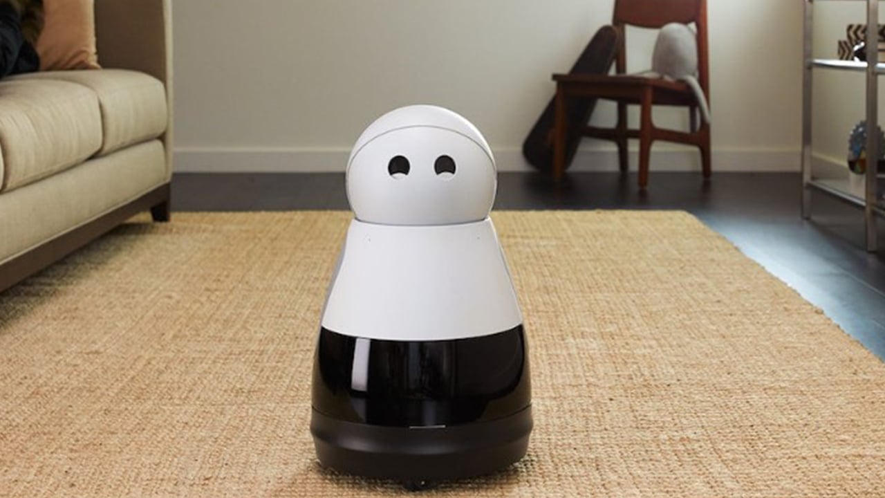 ঘরের কাজকে সহজ করে দেবে ‘হোম রোবট’