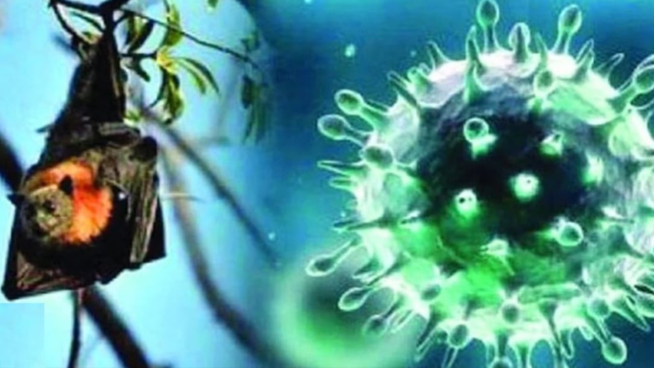 প্রাণঘাতী হয়ে উঠছে নিপাহর মতো আরেক ভাইরাস