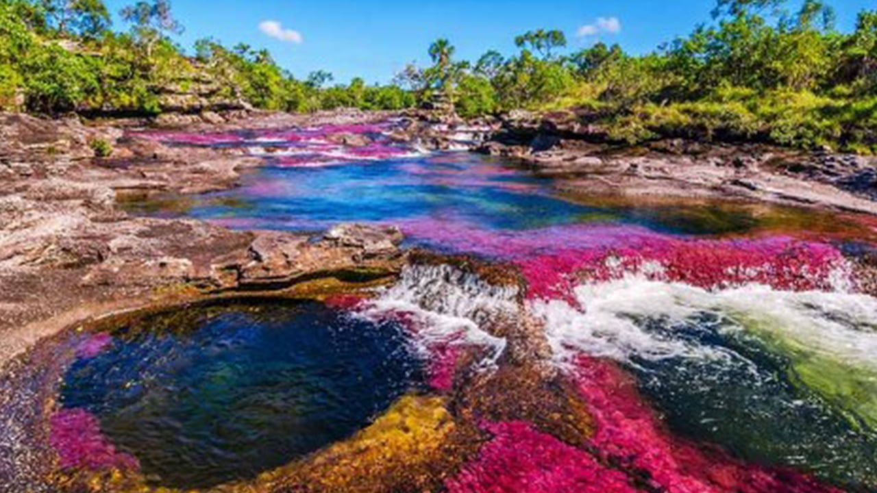 ক্যানু ক্রিস্টেলস রিভার যেন রঙধনুর নদী
