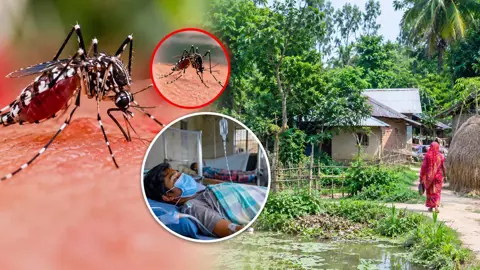 গ্রামাঞ্চলে ছড়িয়ে পড়ছে ডেঙ্গু, ঝুঁকিতে রোগীরা