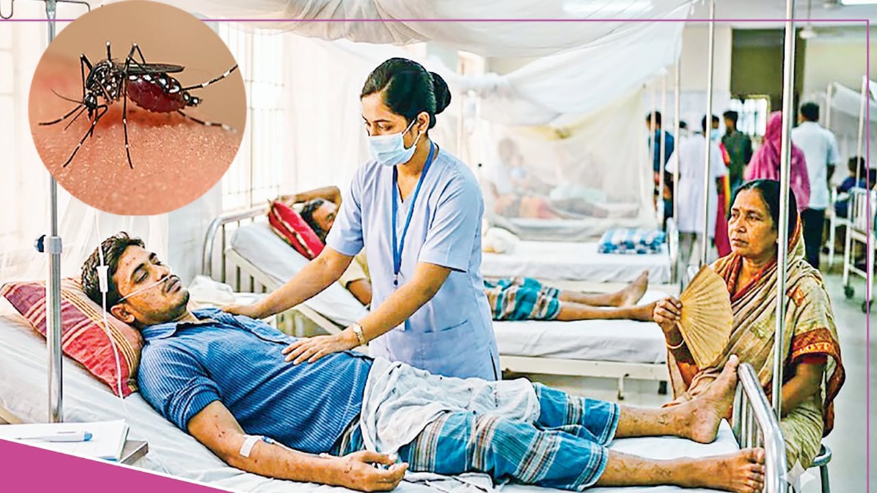 ডেঙ্গু যখন ছদ্মবেশী ঘাতক